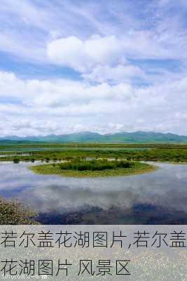 若尔盖花湖图片,若尔盖花湖图片 风景区