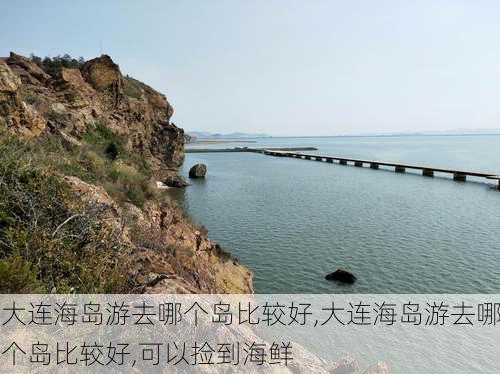 大连海岛游去哪个岛比较好,大连海岛游去哪个岛比较好,可以捡到海鲜