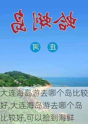 大连海岛游去哪个岛比较好,大连海岛游去哪个岛比较好,可以捡到海鲜