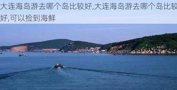 大连海岛游去哪个岛比较好,大连海岛游去哪个岛比较好,可以捡到海鲜