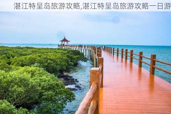 湛江特呈岛旅游攻略,湛江特呈岛旅游攻略一日游