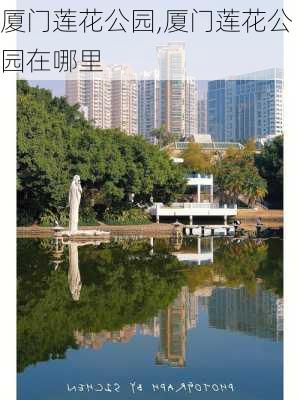 厦门莲花公园,厦门莲花公园在哪里