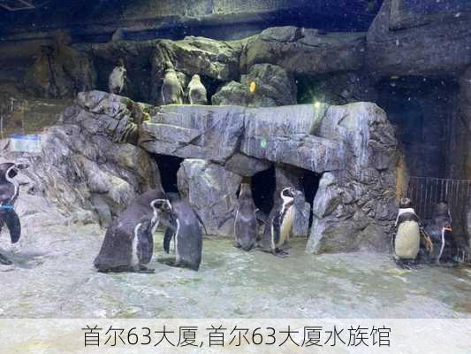 首尔63大厦,首尔63大厦水族馆