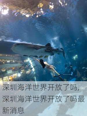 深圳海洋世界开放了吗,深圳海洋世界开放了吗最新消息