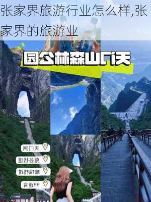 张家界旅游行业怎么样,张家界的旅游业