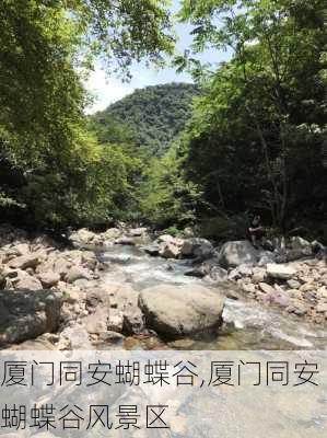 厦门同安蝴蝶谷,厦门同安蝴蝶谷风景区