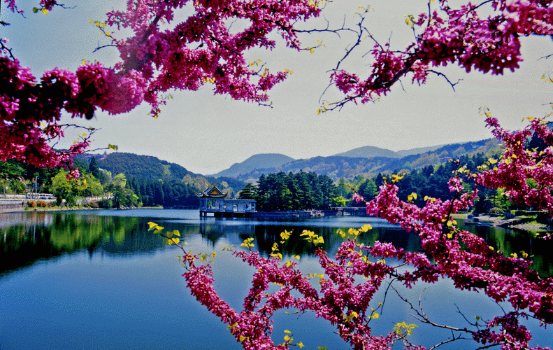 九江旅游,九江旅游必去景点推荐