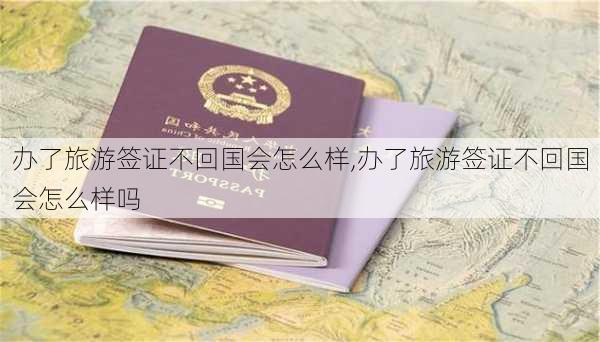 办了旅游签证不回国会怎么样,办了旅游签证不回国会怎么样吗