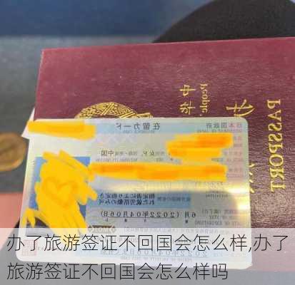 办了旅游签证不回国会怎么样,办了旅游签证不回国会怎么样吗