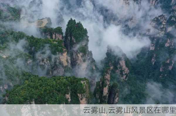 云雾山,云雾山风景区在哪里