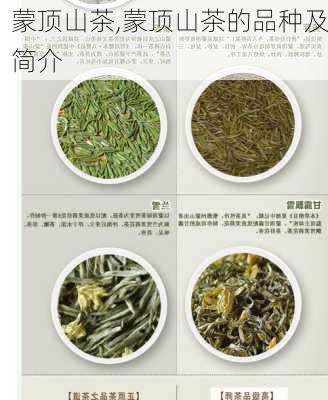 蒙顶山茶,蒙顶山茶的品种及简介