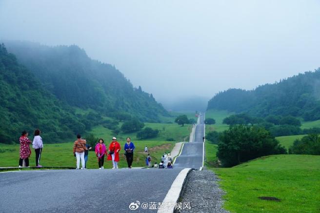 重庆仙女山旅游攻略,重庆仙女山旅游攻略夏季