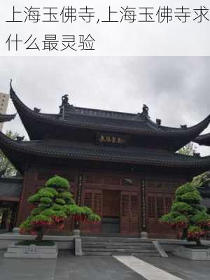 上海玉佛寺,上海玉佛寺求什么最灵验