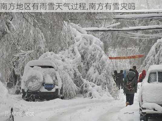 南方地区有雨雪天气过程,南方有雪灾吗