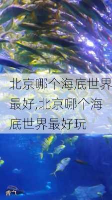 北京哪个海底世界最好,北京哪个海底世界最好玩