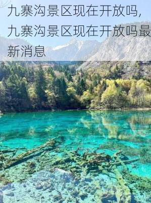 九寨沟景区现在开放吗,九寨沟景区现在开放吗最新消息