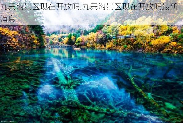 九寨沟景区现在开放吗,九寨沟景区现在开放吗最新消息