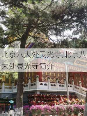 北京八大处灵光寺,北京八大处灵光寺简介