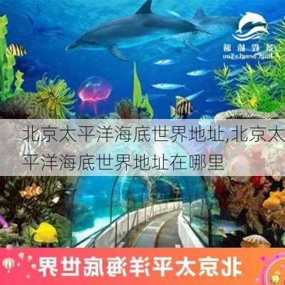 北京太平洋海底世界地址,北京太平洋海底世界地址在哪里