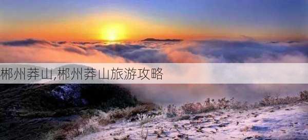 郴州莽山,郴州莽山旅游攻略