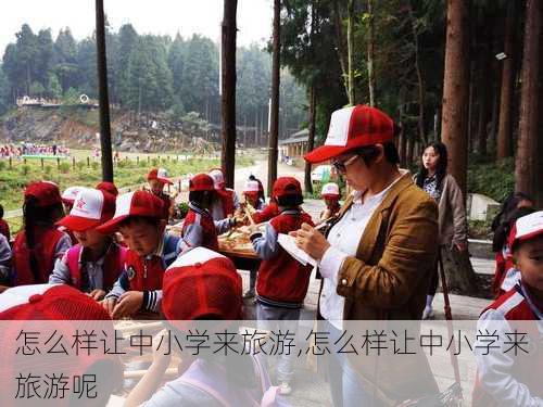 怎么样让中小学来旅游,怎么样让中小学来旅游呢