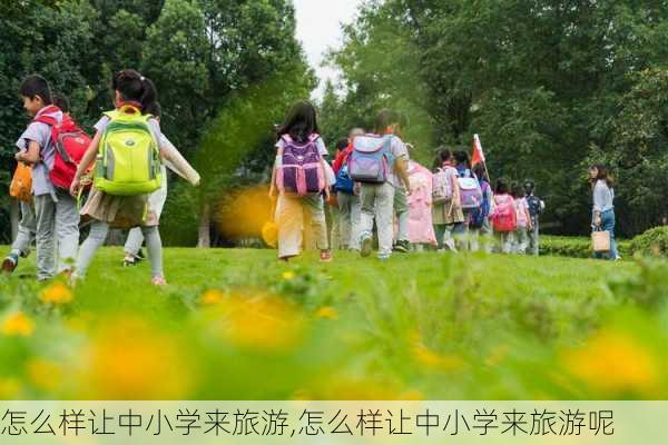 怎么样让中小学来旅游,怎么样让中小学来旅游呢