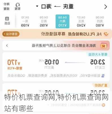 特价机票查询网,特价机票查询网站有哪些