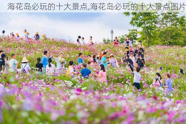 海花岛必玩的十大景点,海花岛必玩的十大景点图片