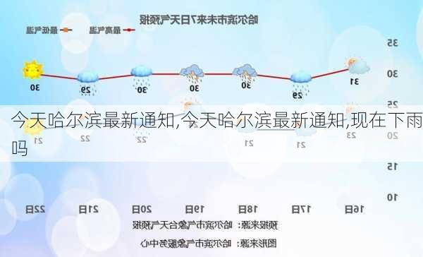 今天哈尔滨最新通知,今天哈尔滨最新通知,现在下雨吗