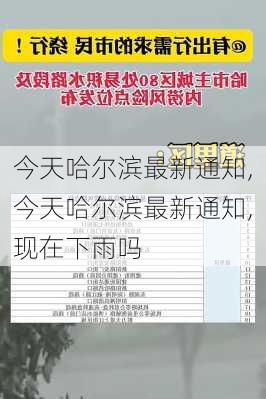 今天哈尔滨最新通知,今天哈尔滨最新通知,现在下雨吗