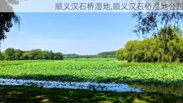 顺义汉石桥湿地,顺义汉石桥湿地公园