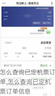 怎么查询已定机票订单,怎么查询已定机票订单信息