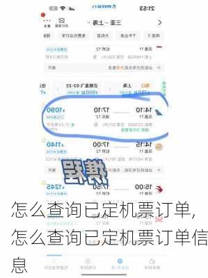 怎么查询已定机票订单,怎么查询已定机票订单信息