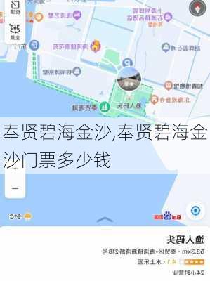 奉贤碧海金沙,奉贤碧海金沙门票多少钱